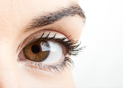 Augenbraue färben (in Behandlung) 